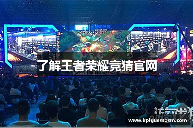 了解王者荣耀竞猜官网
